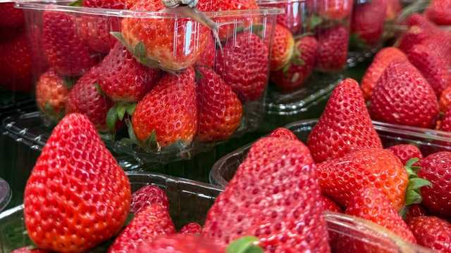 Dependiente/a de Tienda