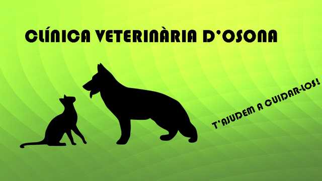 Se busca veterinario para clínica de pequeños animales en vic (BCN)