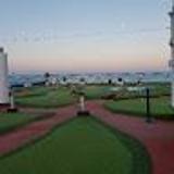 MiniGolf L. avatar icon