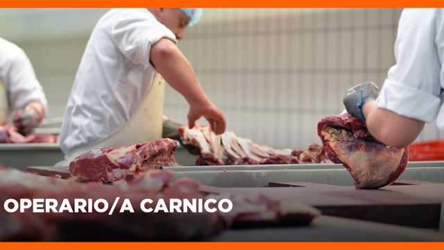 OPERARIO/A CÁRNICO