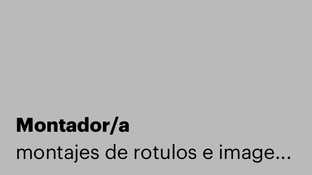 Montador/a