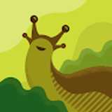 caracolsonico avatar icon