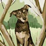 avatar icon