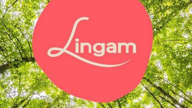 Dependiente/a de Tienda