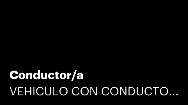 Conductor/a