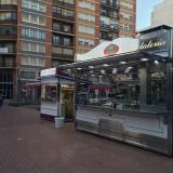 -Bernardo  -. avatar icon