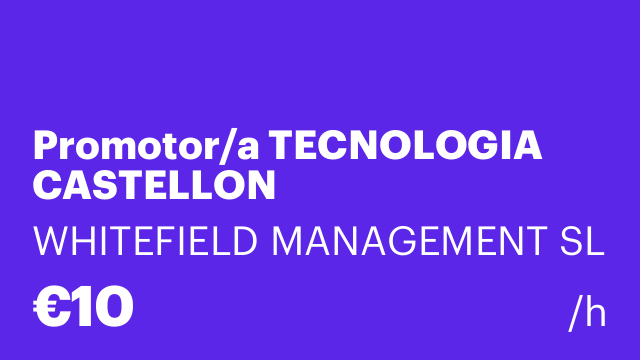 Promotor/a TECNOLOGIA CASTELLON