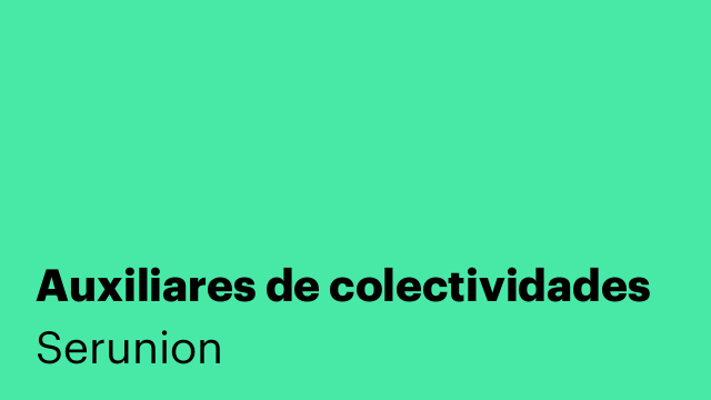 Auxiliares de colectividades