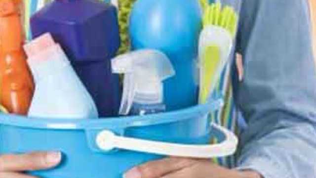 Empleada/o Doméstica/o