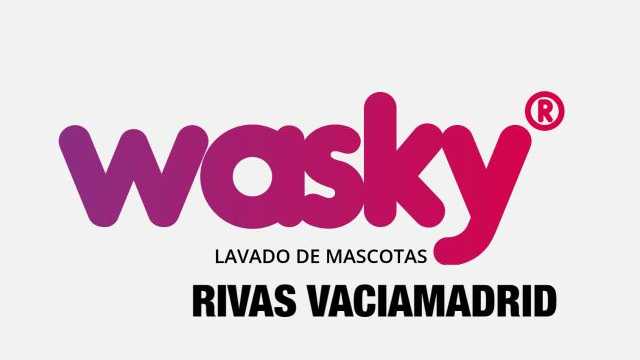 Limpiador/a de autolavado de mascotas