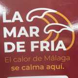 Javi F. avatar icon
