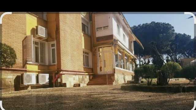 Auxiliar de Geriatría