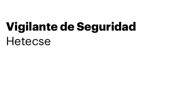 Vigilante de Seguridad