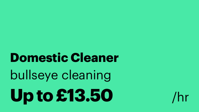 Domestic Cleaner