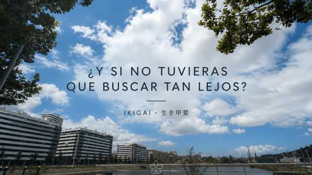 Profesor/a de Pilates