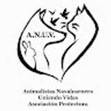 ANUV A. avatar icon