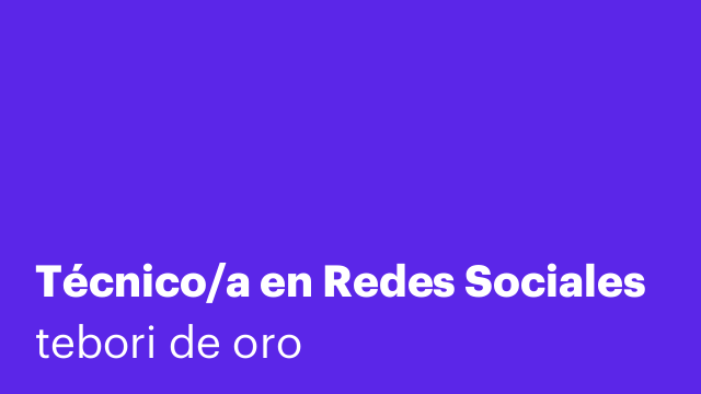 Técnico/a en Redes Sociales