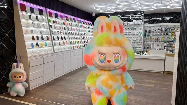 Técnico/a Informático/a