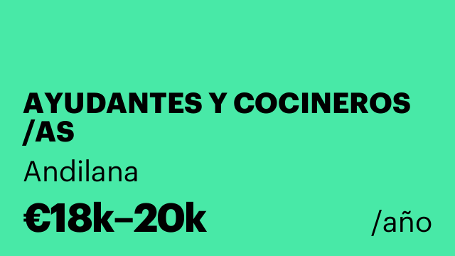 AYUDANTES Y COCINEROS /AS