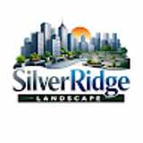 Sliver R. avatar icon