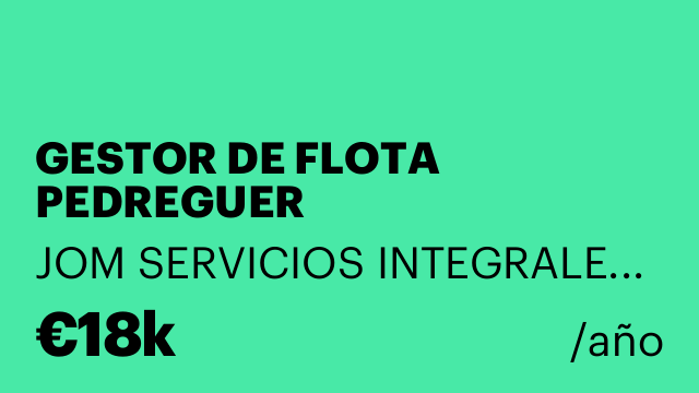 GESTOR DE FLOTA PEDREGUER