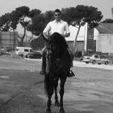 Manuel E. avatar icon