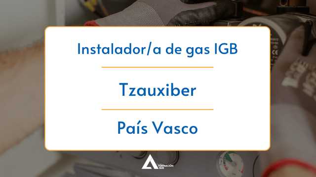 Técnico/a mantenedor/a de gas y fontanería