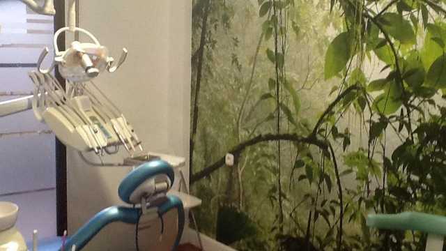 Higienista Dental