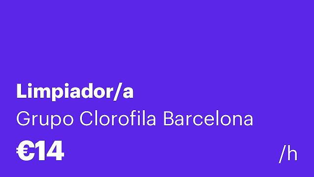 Limpiador/a