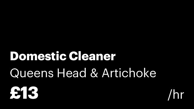 Domestic Cleaner