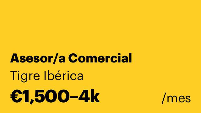 Asesor/a Comercial