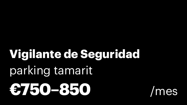 Vigilante de Seguridad