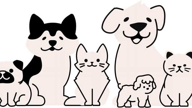 Comercial Veterinario/a