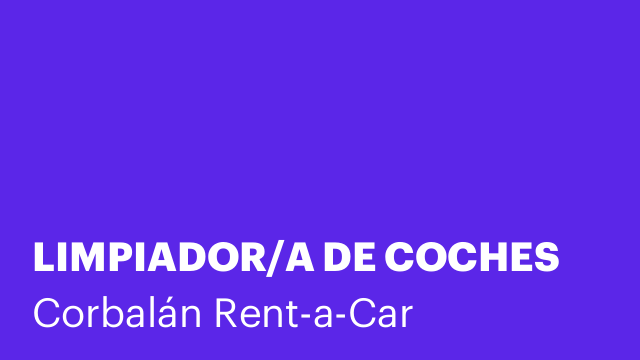 LIMPIADOR/A DE COCHES