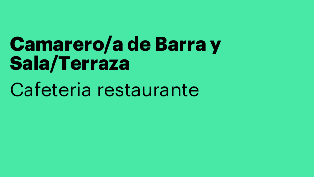 Camarero/a de Barra y Sala/Terraza