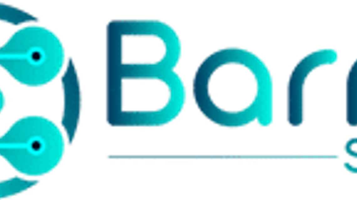 Barnasystem cover image