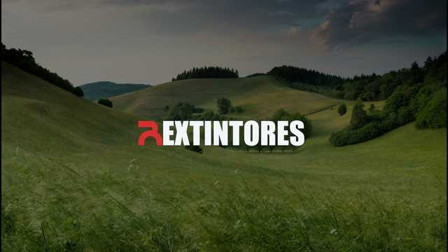 CHÓFER / TRANSPORTISTA – CARNET B (CAMIÓN 3.500 KG)