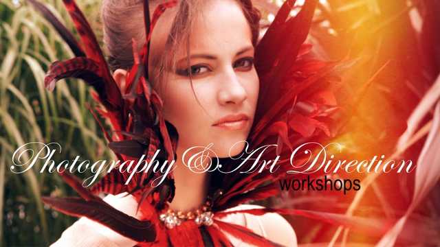 Photographer/Photographer Assistant