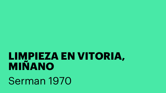 LIMPIEZA EN VITORIA, MIÑANO