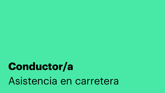 Conductor/a