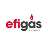 EFIGAS SL logo