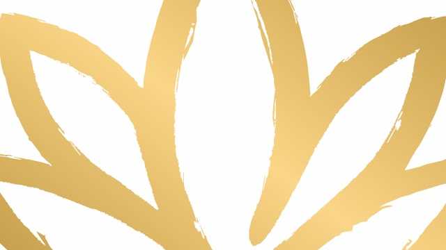 Profesor/a Pilates Máquina