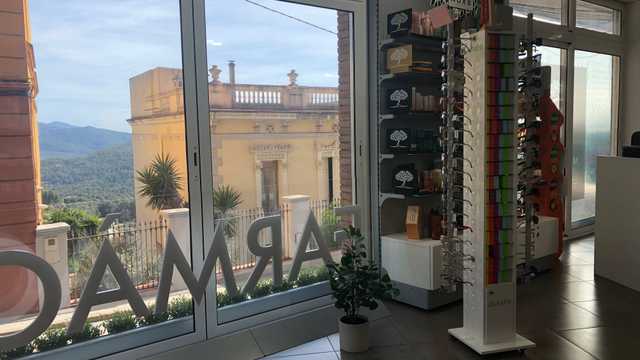 Farmacéutico/a