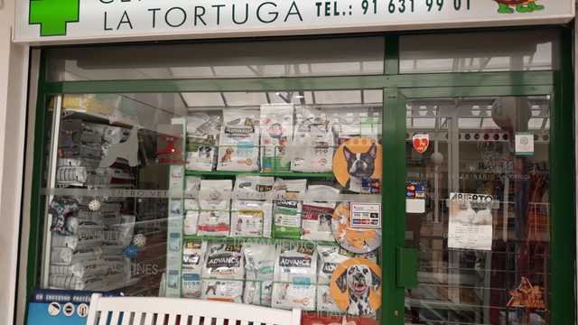 Veterinario Generalista