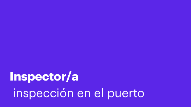 Inspector/a