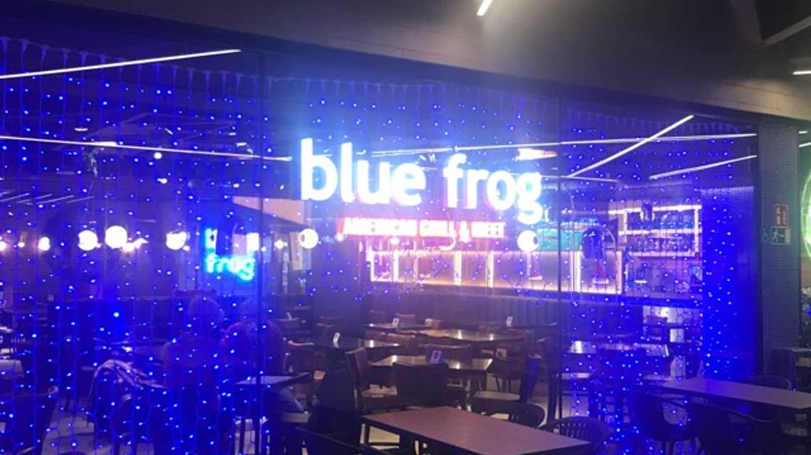 Blue Frog cover image