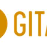 GITAXI S.L. logo