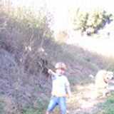 Jose Ma L. avatar icon