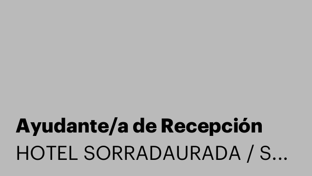 Ayudante/a de Recepción