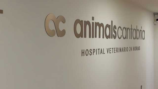 AUXILIAR VETERINARIO